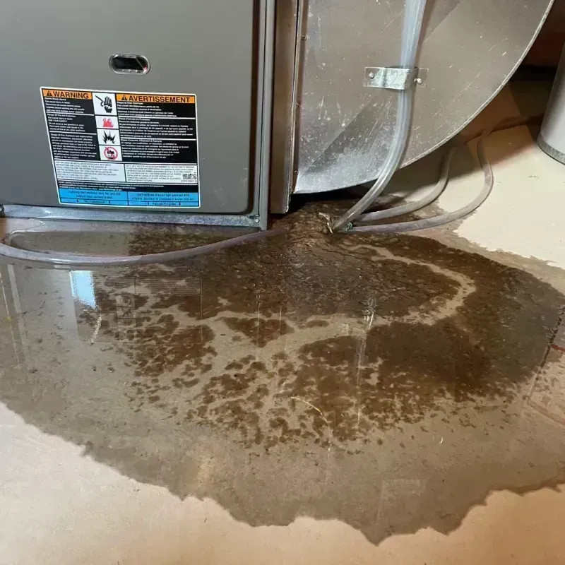 Appliance Leak Cleanup in Mount Gay-Shamrock, WV